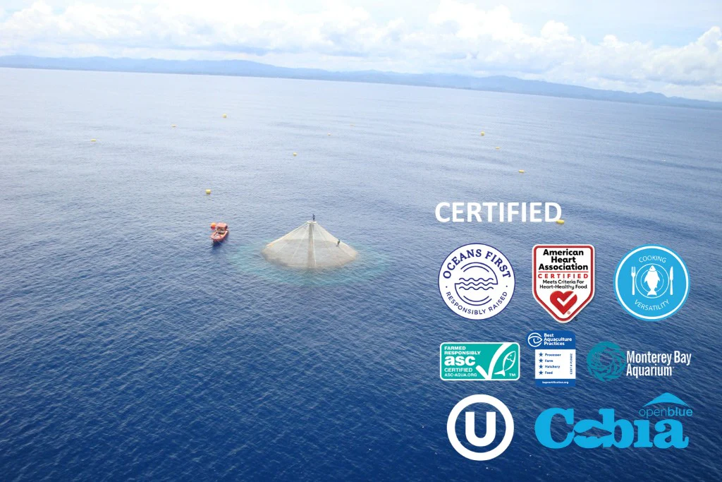 Filet de Cobia - 200 gr - Image 5