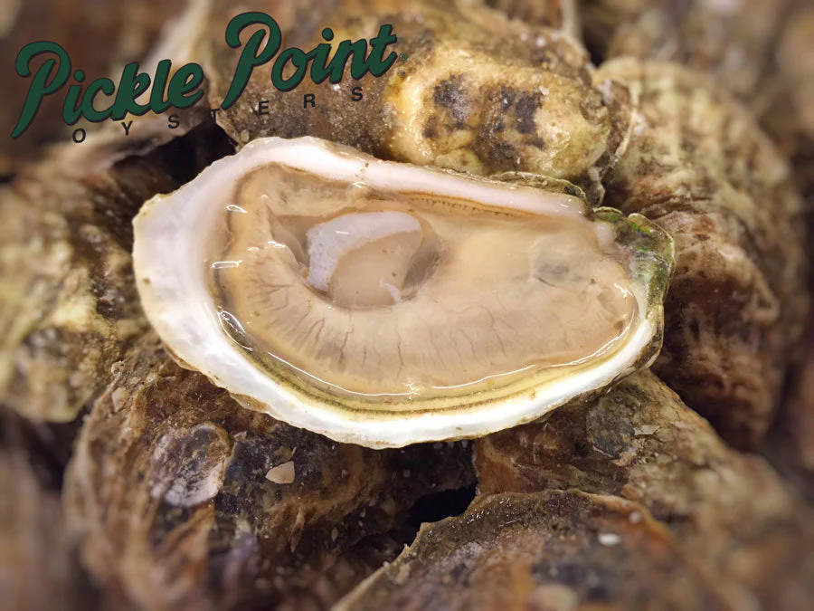 Plateau d'huîtres larges I.P.E. - Image 3